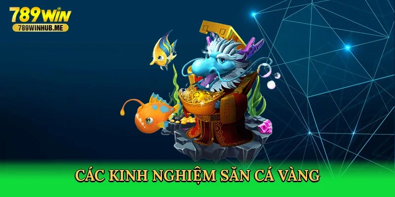 cac-kinh-nghiem-san-ca-vang-3