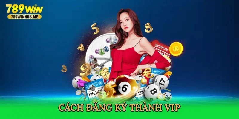 cach-dang-ky-thanh-vip-4