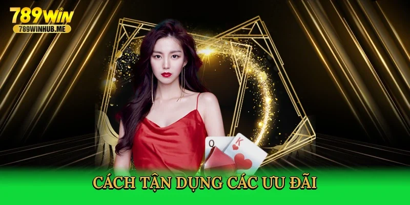 cach-tan-dung-cac-uu-dai-4