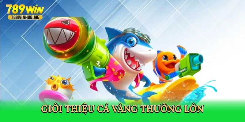 gioi-thieu-ca-vang-thuong-lon-2