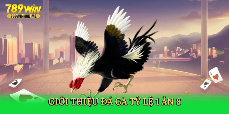 gioi-thieu-da-ga-ty-le-1-an-8-2