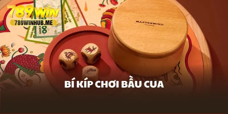 meo-choi-bau-cua
