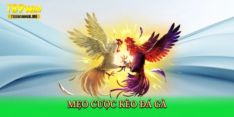 meo-cuoc-keo-da-ga-4