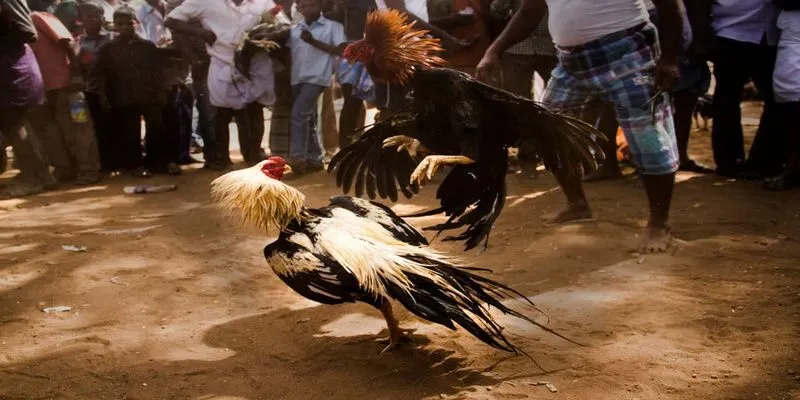 Chọn game cần chung sức
