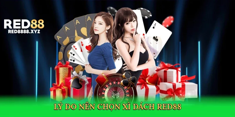ly-do-nen-chon-xi-dach-red88-3